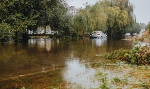 pexels-photo-28447757