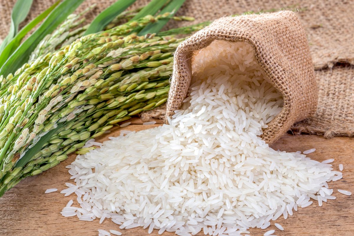 Ilustrasi Beras